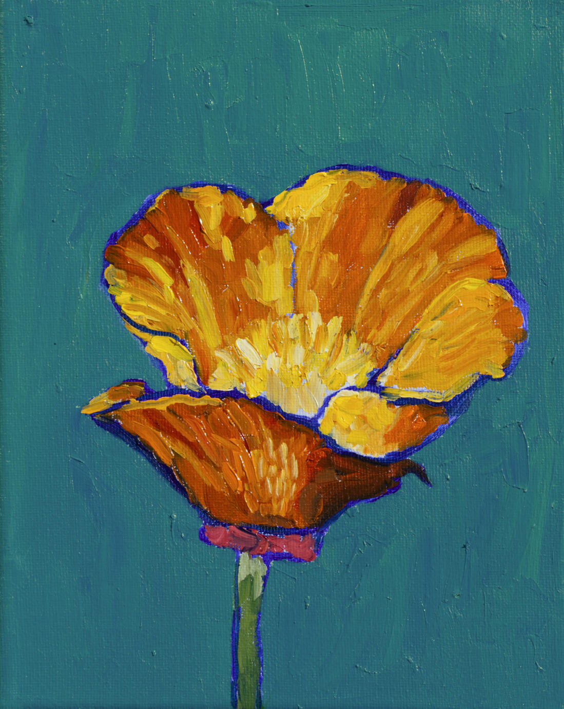California Poppy 8x10 oil $100