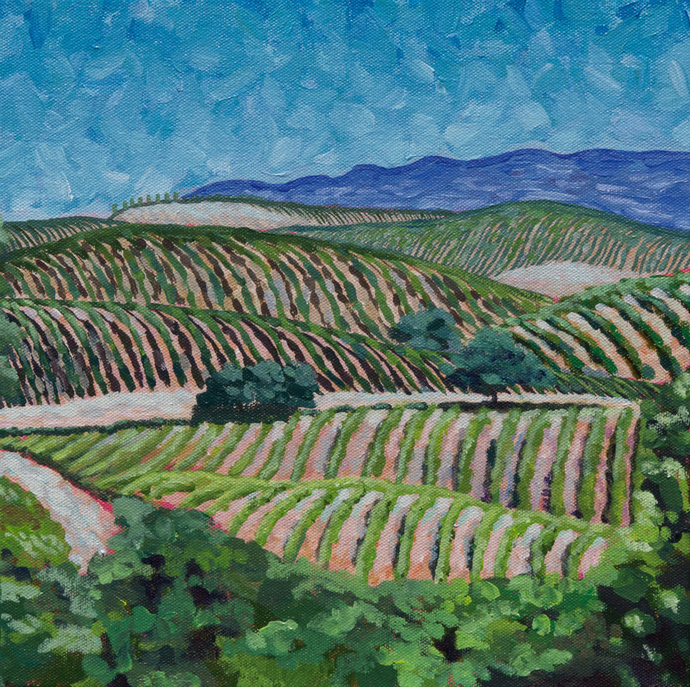 Summer Vineyards Napa,CA Sold