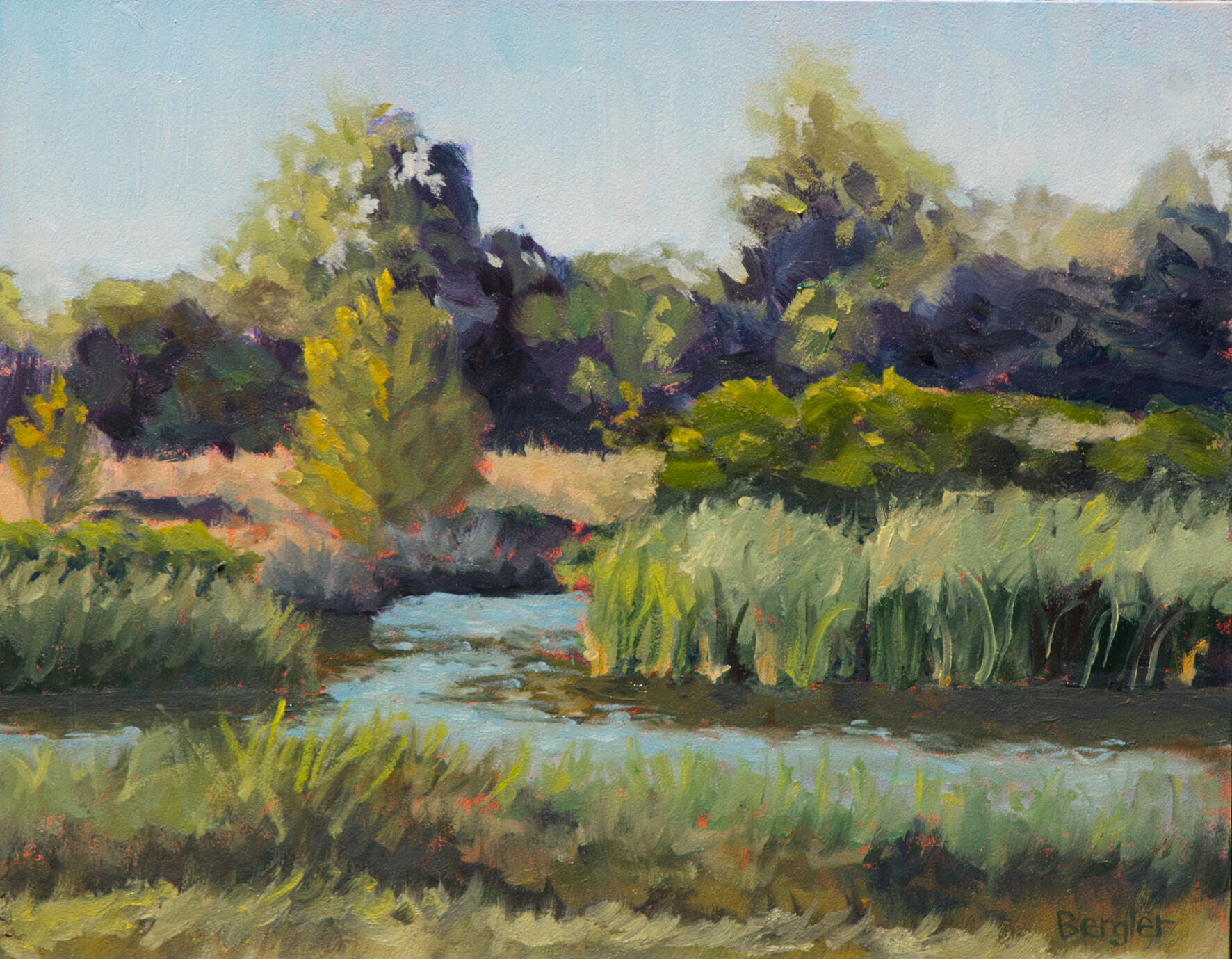 Cache Creek Woodland,CA 10x8 oil $220