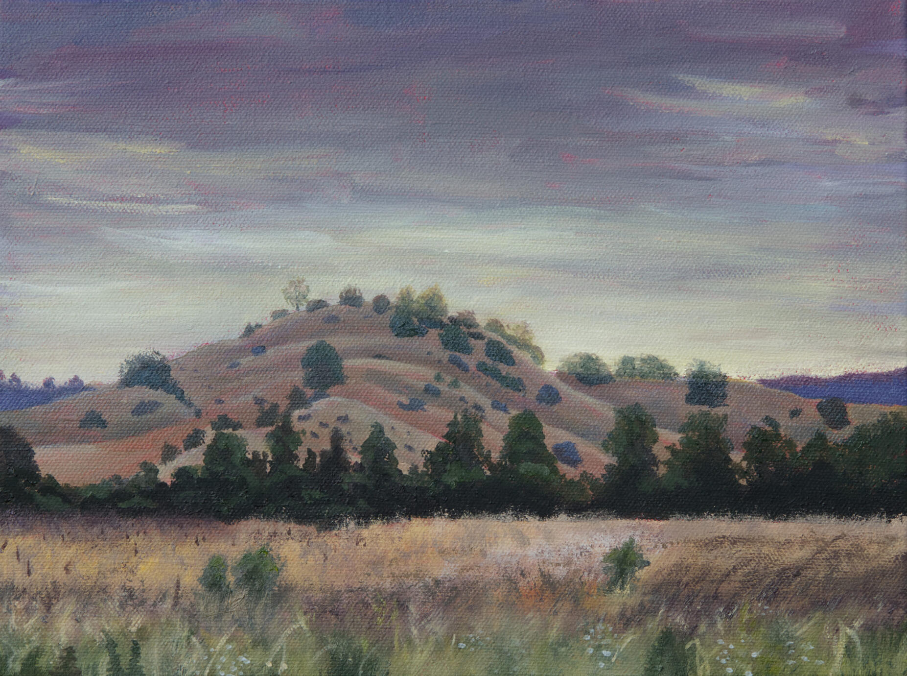 Centennial Park Vacaville,CA 12x9 oil $250