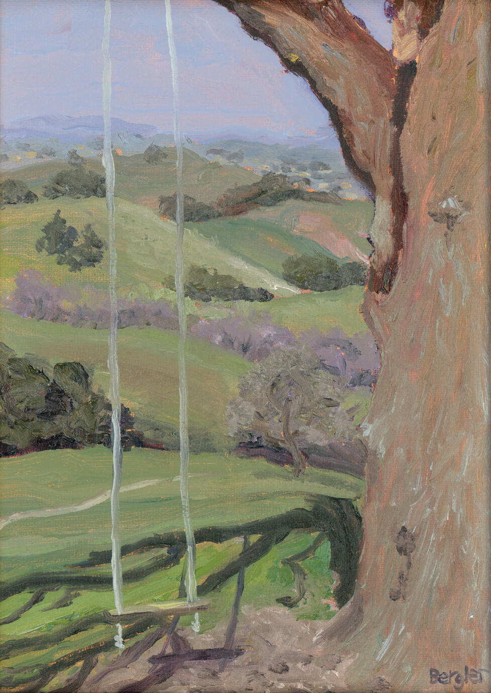 Browns Valley Swing Vacaville,CA sold