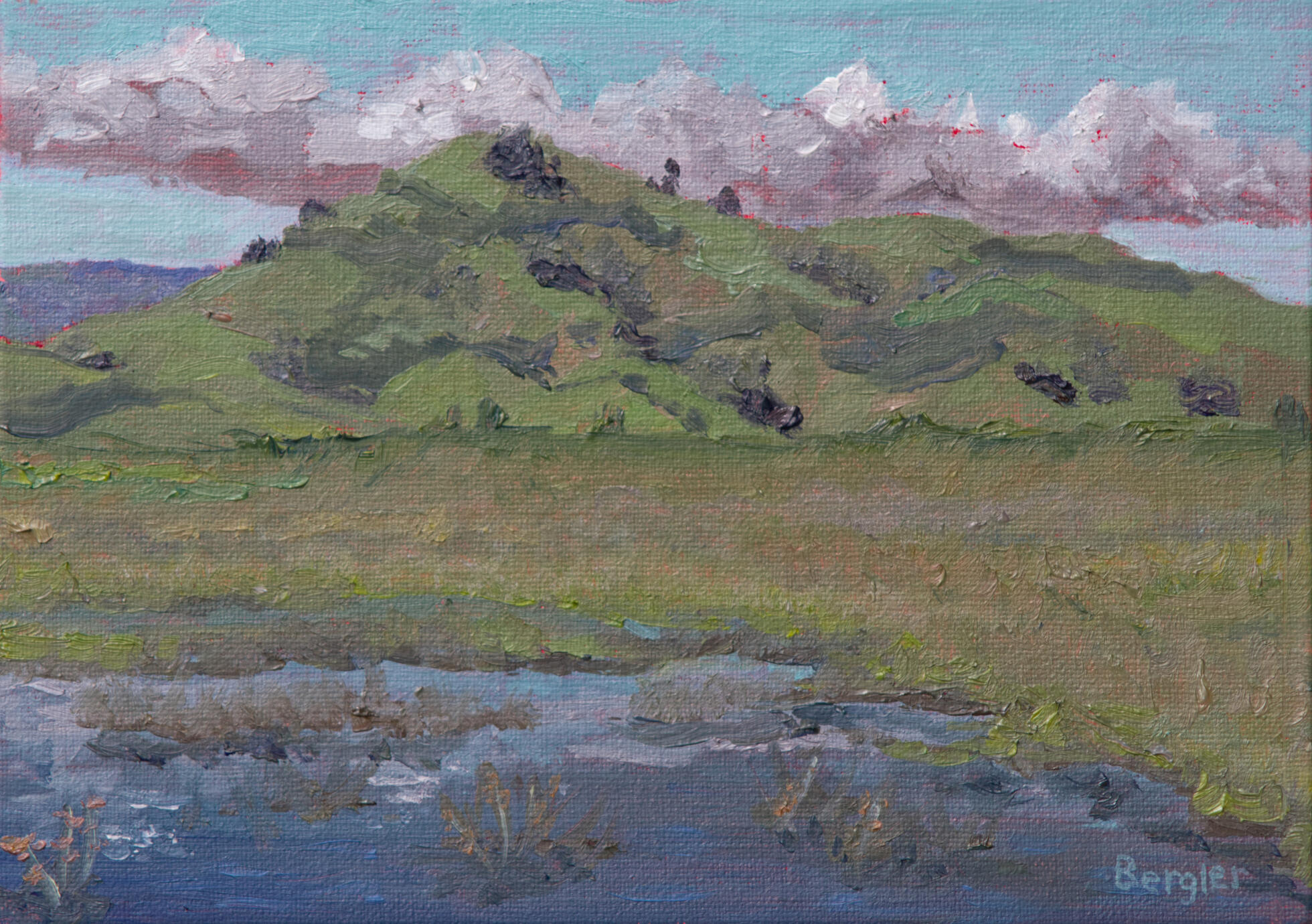 After the Rain Vacaville,CA 5x7 oil $180