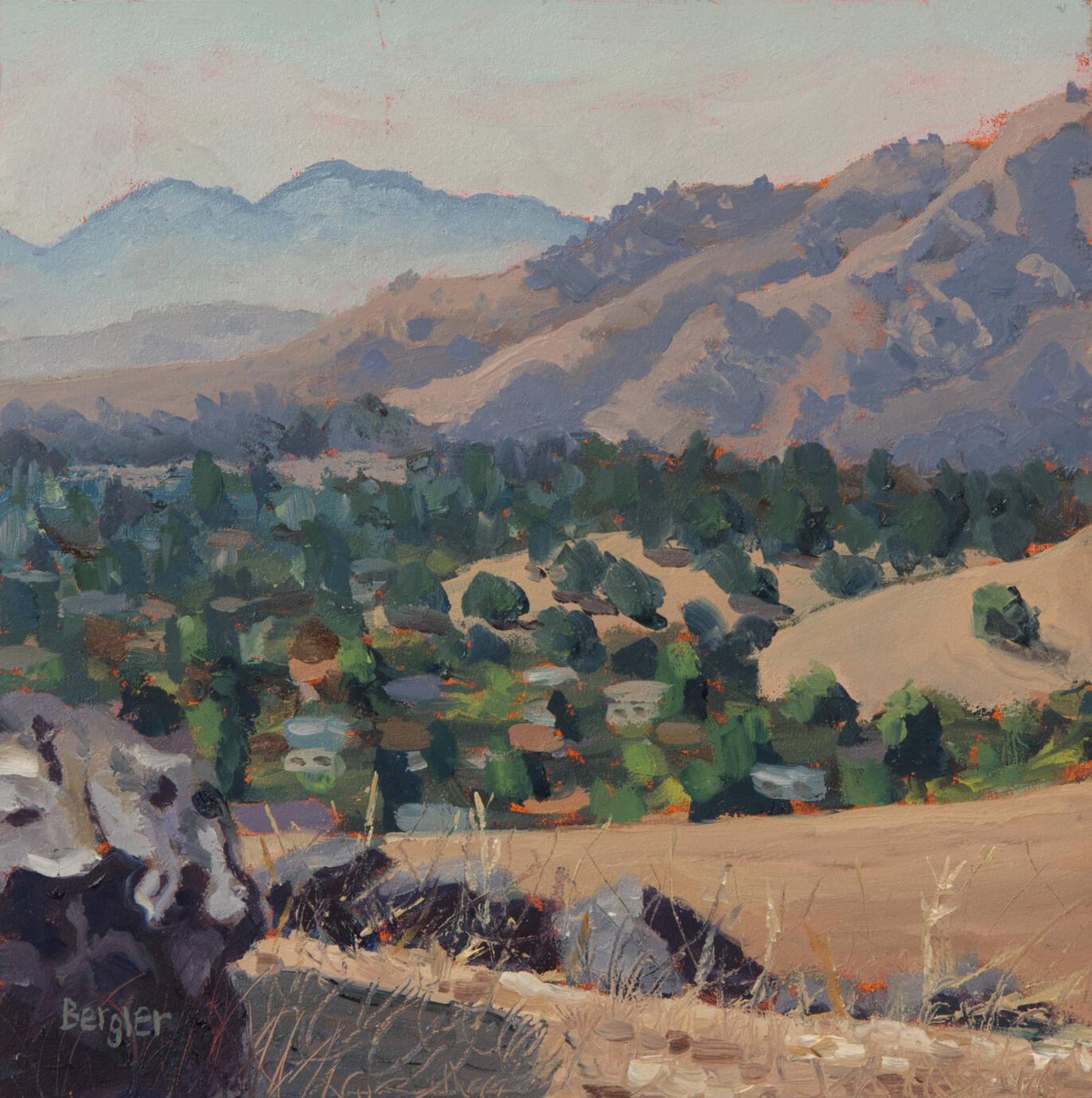 Up in the Hills Vacaville,CA 6x6 oil $180