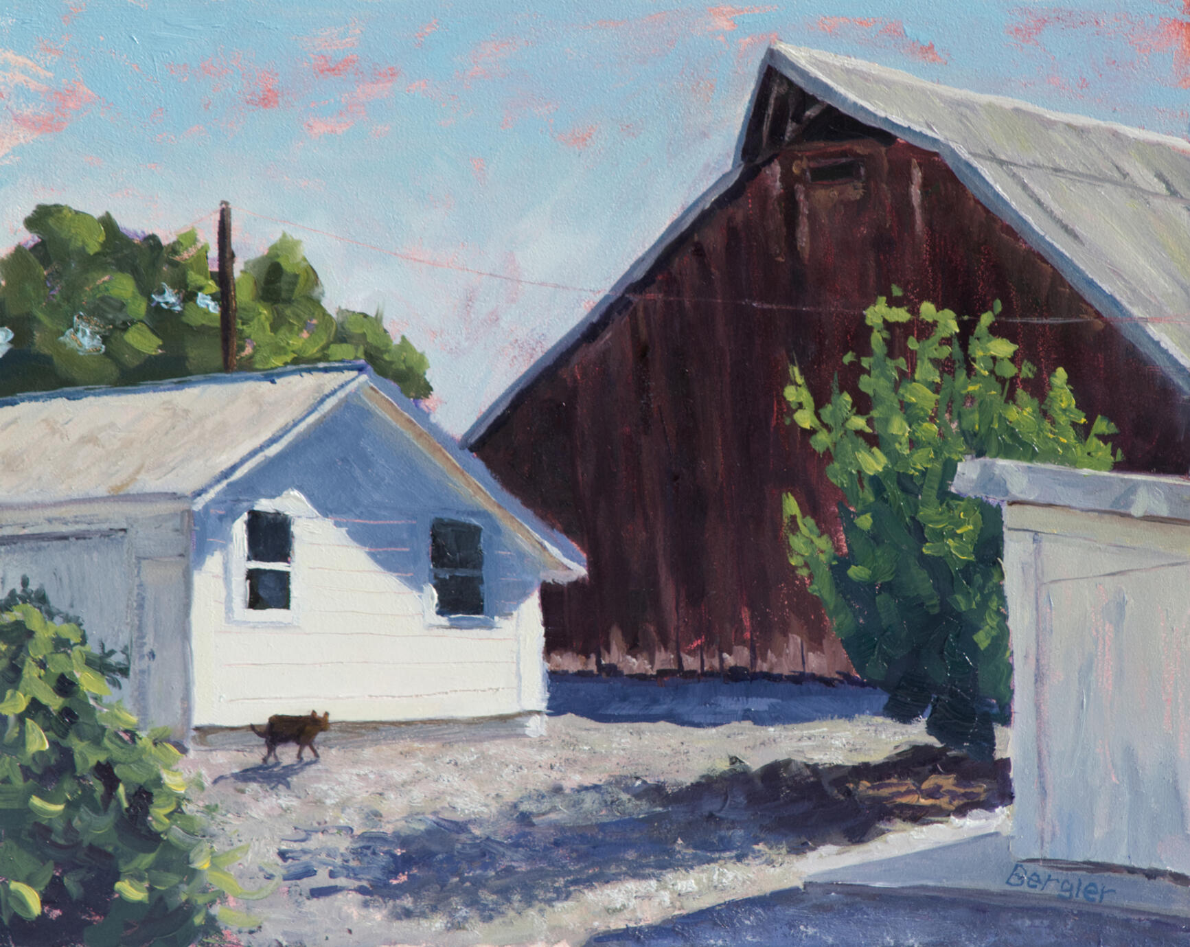 Barn Cat Woodland,CA 10x8 oil $220