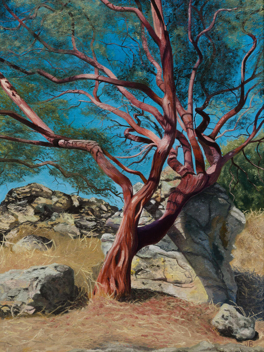 Rockville Hills Fairfield,CA Artist's private collection