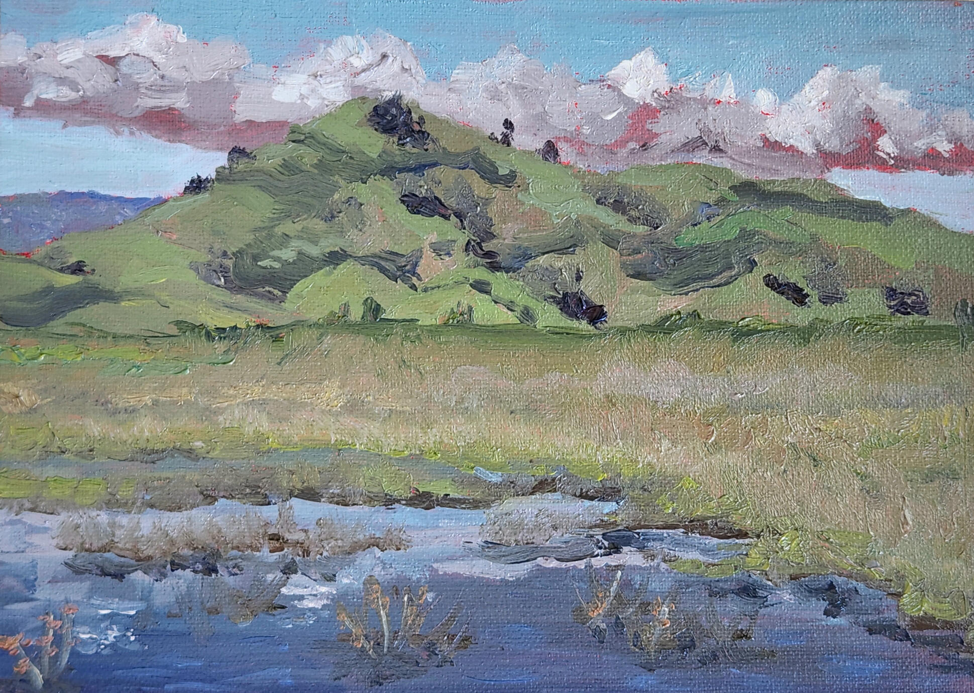 After the Rain Vacaville,CA 5x7 oil $180