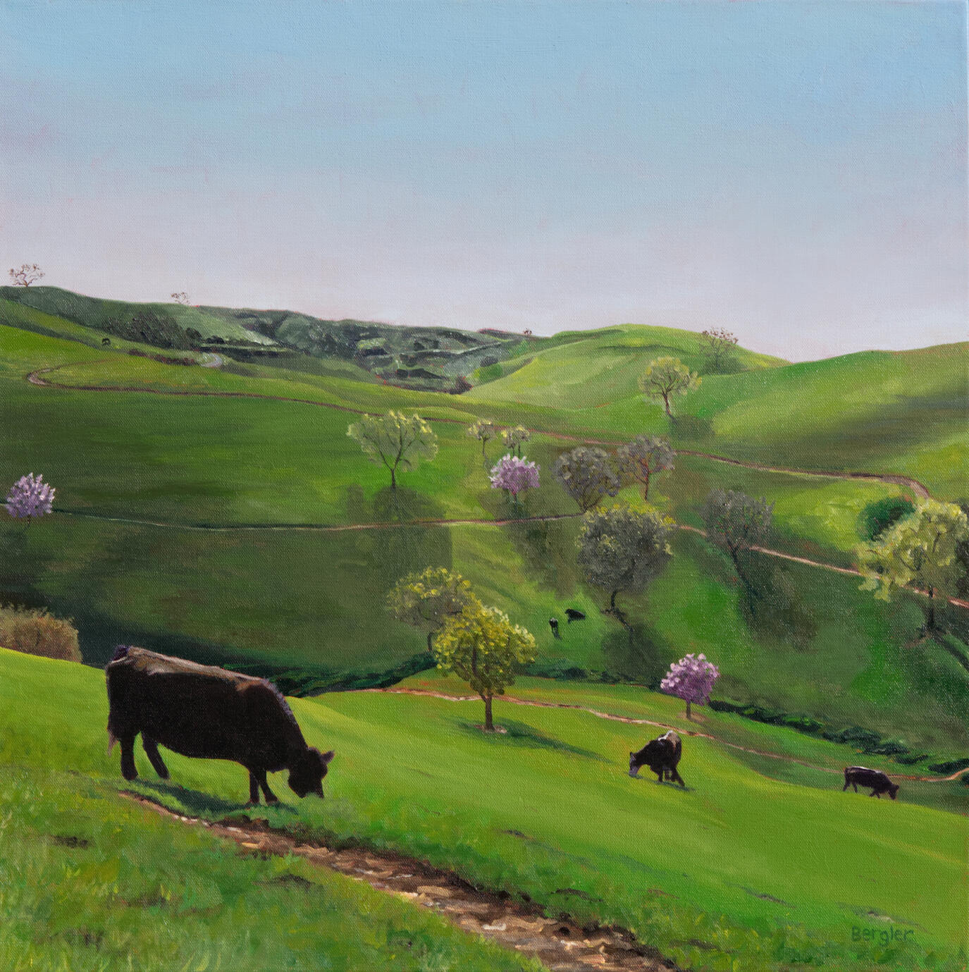 Cow Town Vacaville,CA 24x24 oil $1800