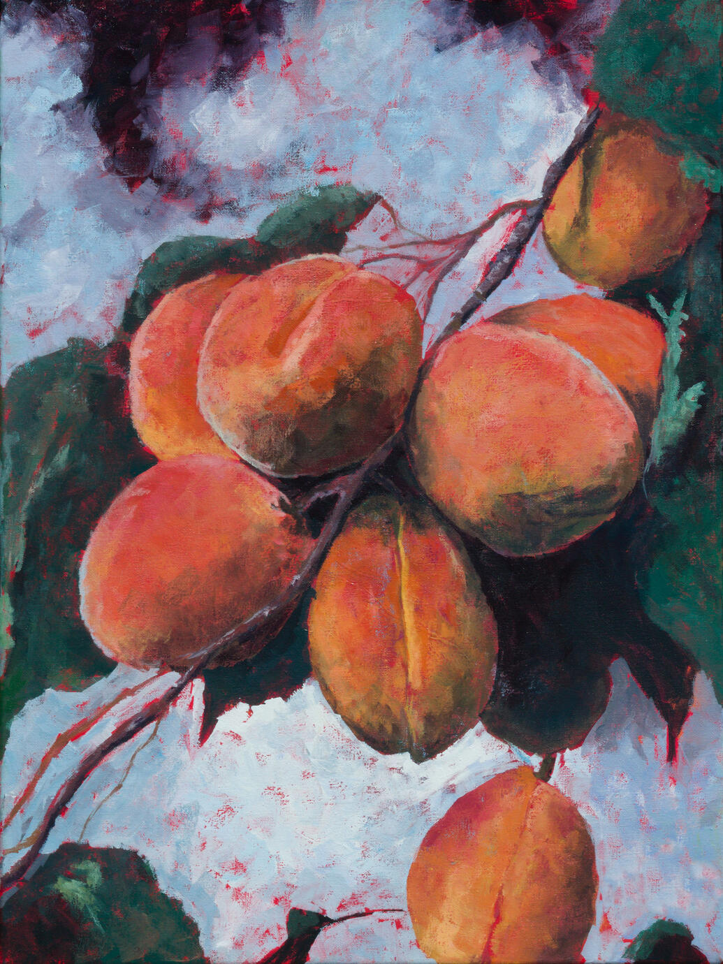 Ripe Apricots Sold