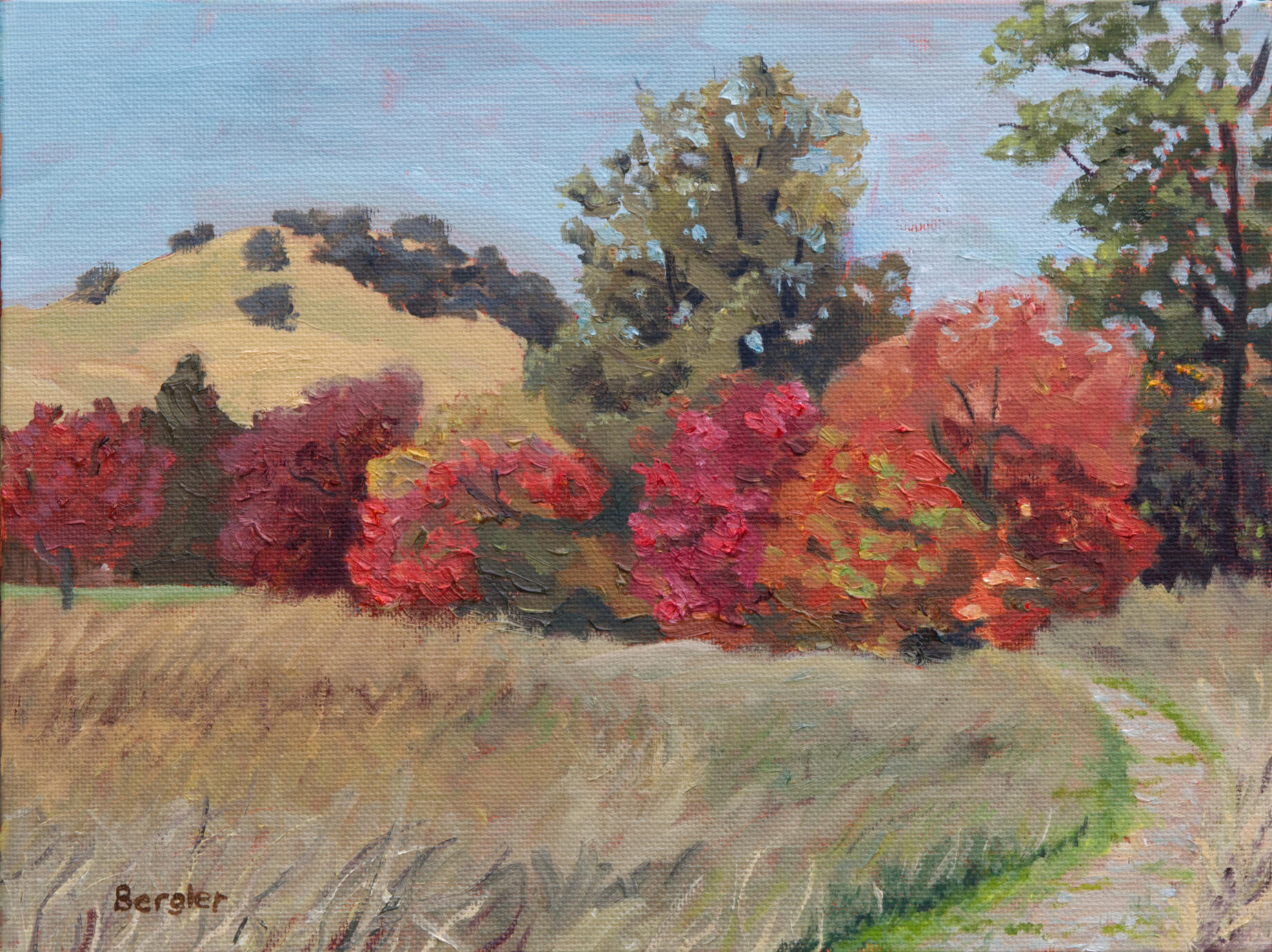 Autumn's Peak Winters,CA 12x9 oil $250
