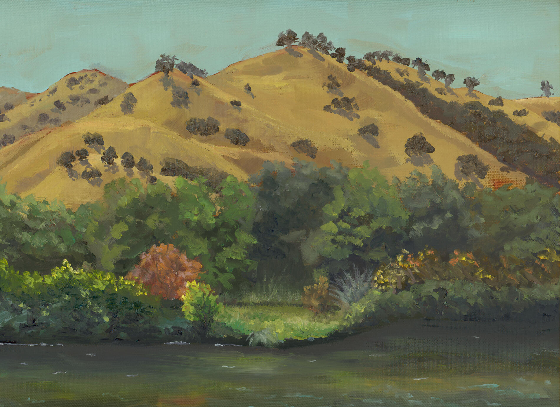 Putah Creek Winters,CA 12x9 oil $250