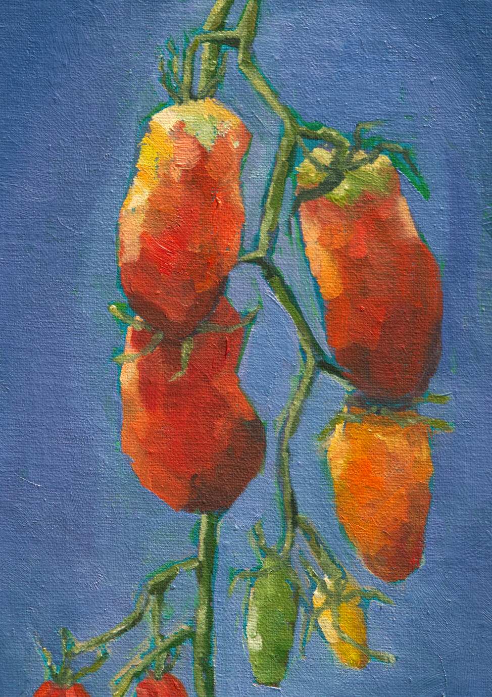 Ripe San Marzano's Sold