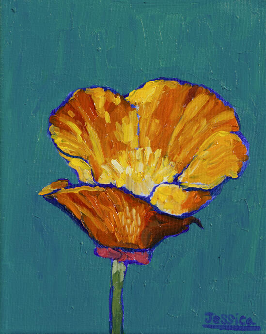 California Poppy